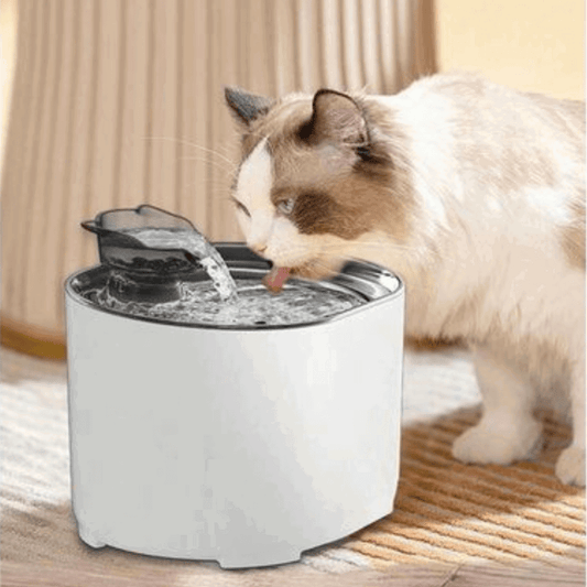 Fontaine à Eau pour Chat avec Détecteur de Mouvement – Hydratation Facile et Sûre